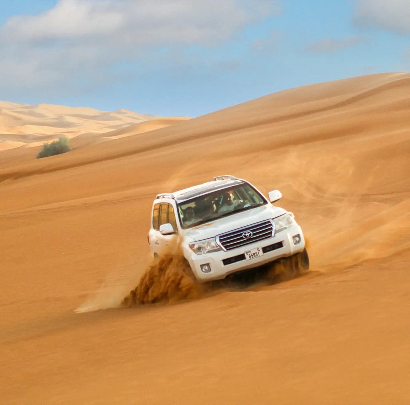 Half Day Desert Safari, Dune Bashing and Inland Sea Visit